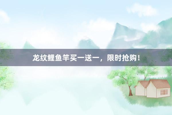 龙纹鲤鱼竿买一送一，限时抢购！